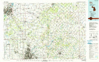 Flint topographic map thumbnail