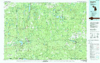 Grayling 1983 topographic map preview