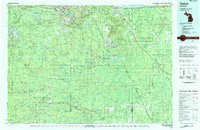 Gwinn 1983 topographic map thumbnail