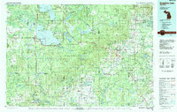 Houghton Lake 1983 topographic map thumbnail