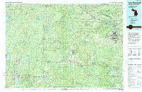 Iron Mountain 1991 topographic map thumbnail