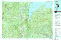 L'Anse 1991 topographic map thumbnail