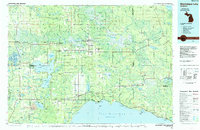 Manistique Lake topographic map thumbnail