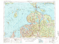 Cheboygan 1955 topographic map thumbnail