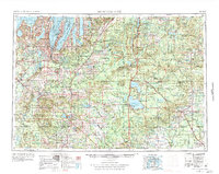 Traverse City 1954 topographic map thumbnail