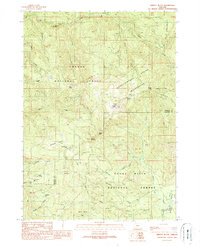 Abbott Butte 1989 topographic map thumbnail