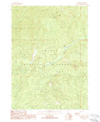 Acker Rock 1989 topographic map thumbnail