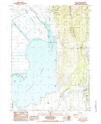 Agency Lake 1985 topographic map thumbnail