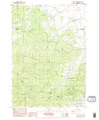 Airlie South 1984 topographic map thumbnail