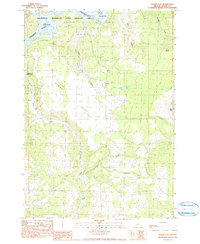 Alkali Flat 1990 topographic map thumbnail