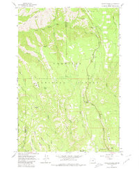 Andies Prairie 1963 topographic map thumbnail
