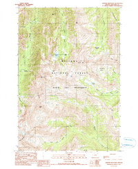 Aneroid Mountain 1990 topographic map thumbnail