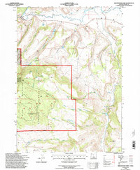 Arrowwood Point 1992 topographic map thumbnail