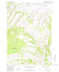 Arrowwood Point 1982 topographic map thumbnail