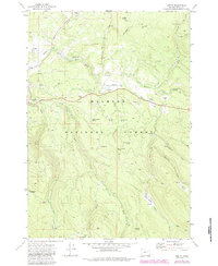 Austin 1972 topographic map thumbnail
