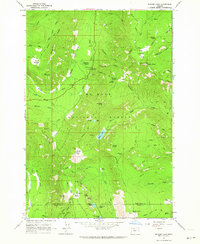 Badger Lake 1962 topographic map thumbnail