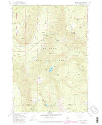 Badger Lake 1962 topographic map thumbnail