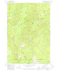 Badger Lake 1979 topographic map thumbnail