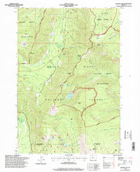 Badger Lake 1996 topographic map thumbnail
