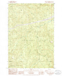 Bagby Hot Springs 1985 topographic map thumbnail
