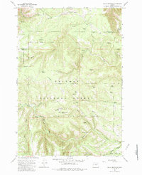 Bally Mountain 1967 topographic map thumbnail