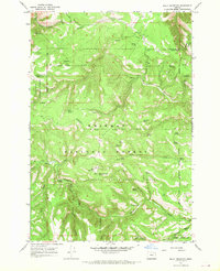 Bally Mountain 1967 topographic map thumbnail
