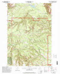 Bally Mountain 1995 topographic map thumbnail