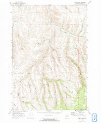 Balm Canyon 1969 topographic map thumbnail