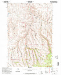 Balm Canyon 1995 topographic map thumbnail