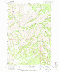 Bassey Creek 1967 topographic map thumbnail