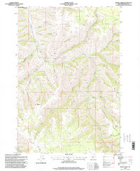 Bassey Creek 1996 topographic map thumbnail