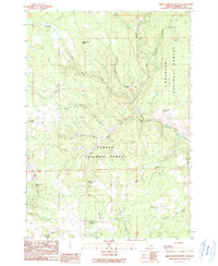 Bear Canyon Butte 1990 topographic map thumbnail