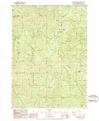 Bearbones Mtn topographic map thumbnail