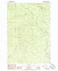 Beaver Butte 1985 topographic map thumbnail