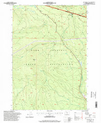 Beaver Butte 1996 topographic map thumbnail