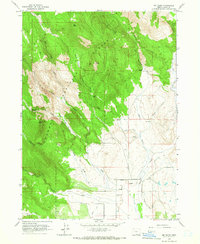 Big Baldy 1964 topographic map thumbnail