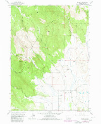Big Baldy 1964 topographic map thumbnail