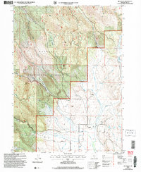 Big Baldy 2004 topographic map thumbnail