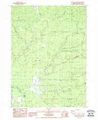 Big Butte Springs 1988 topographic map thumbnail