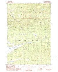 Big Canyon 1990 topographic map thumbnail