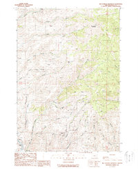 Big Lookout Mountain 1988 topographic map thumbnail