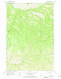 Big Meadows 1963 topographic map preview