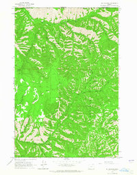 Big Meadows 1963 topographic map preview