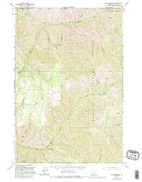 Big Meadows 1963 topographic map thumbnail