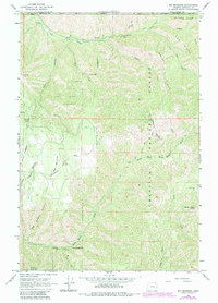 Big Meadows 1963 topographic map preview