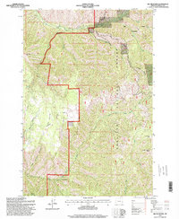 Big Meadows 1995 topographic map thumbnail