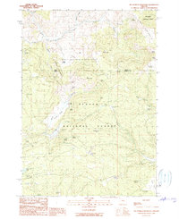 Big Mowich Mountain 1990 topographic map thumbnail
