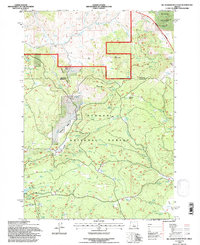 Big Mowich Mountain 1992 topographic map thumbnail