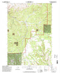 Big Rock Flat 1995 topographic map preview