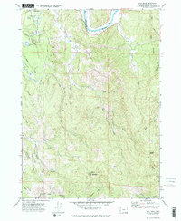 Bill Peak 1971 topographic map thumbnail